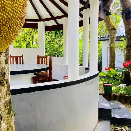 Drongo Place Dikwella Ngoại thất bức ảnh