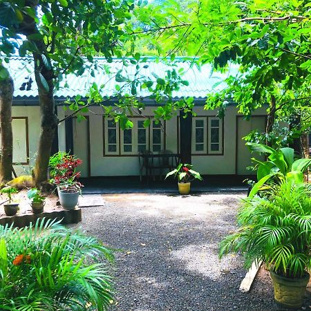 Drongo Place Dikwella Ngoại thất bức ảnh