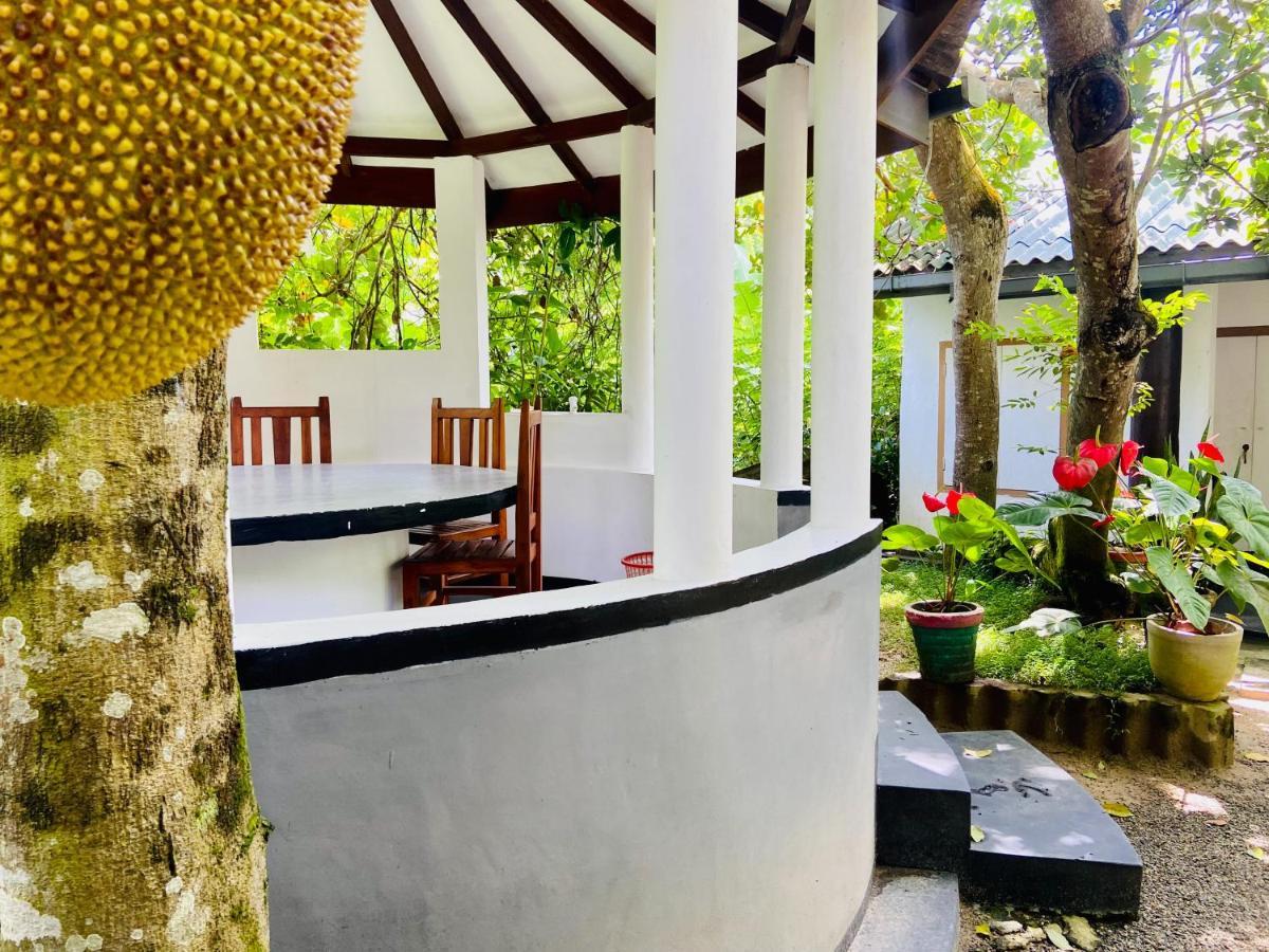 Drongo Place Dikwella Ngoại thất bức ảnh