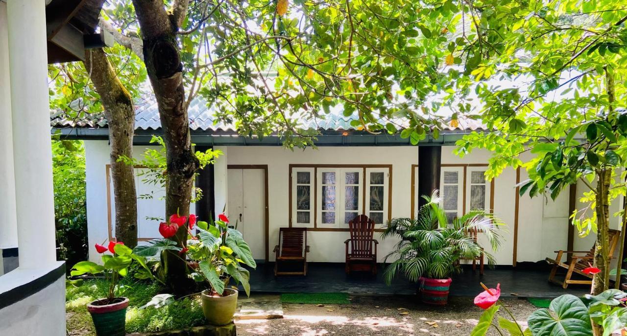 Drongo Place Dikwella Ngoại thất bức ảnh
