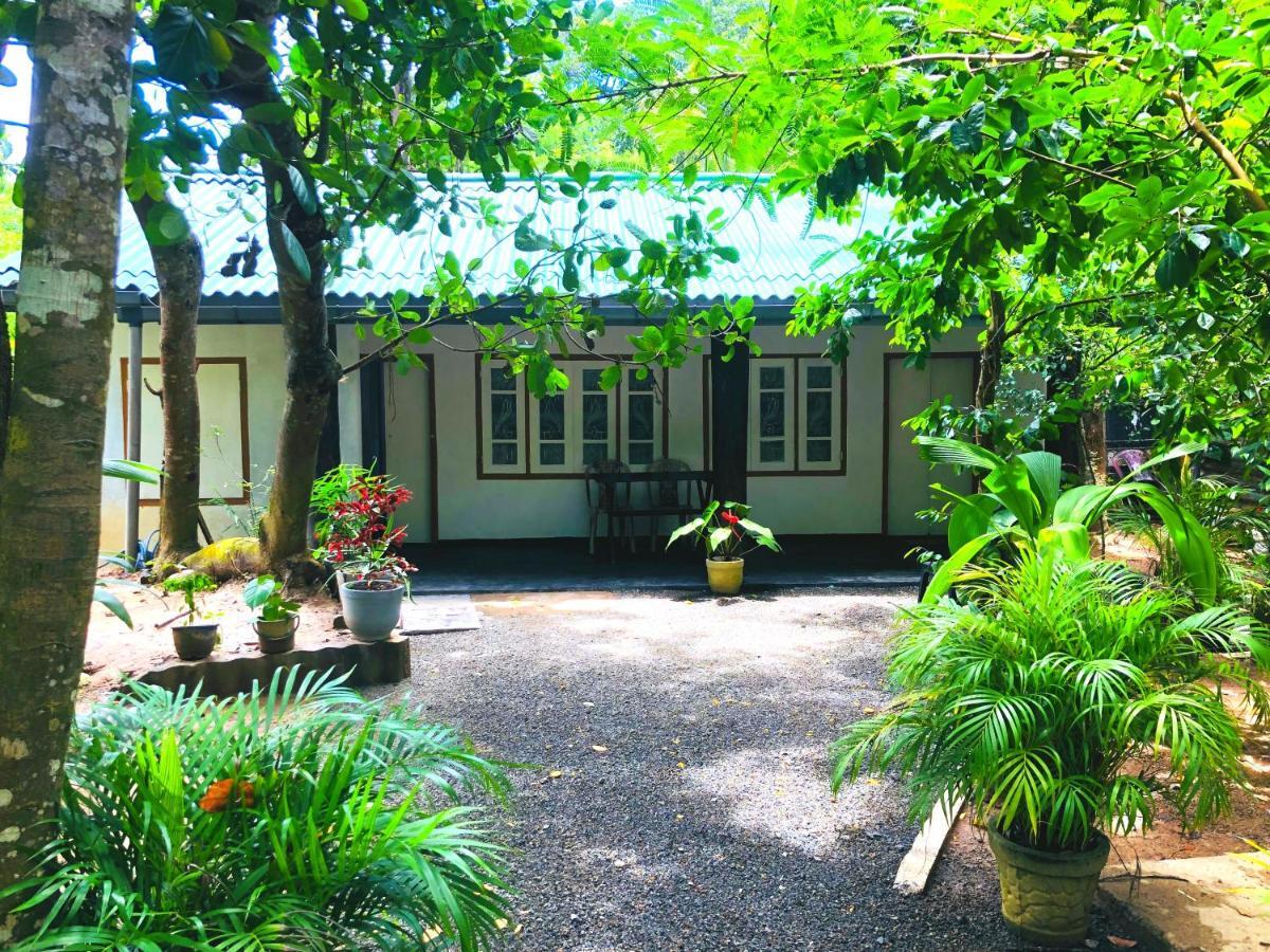 Drongo Place Dikwella Ngoại thất bức ảnh