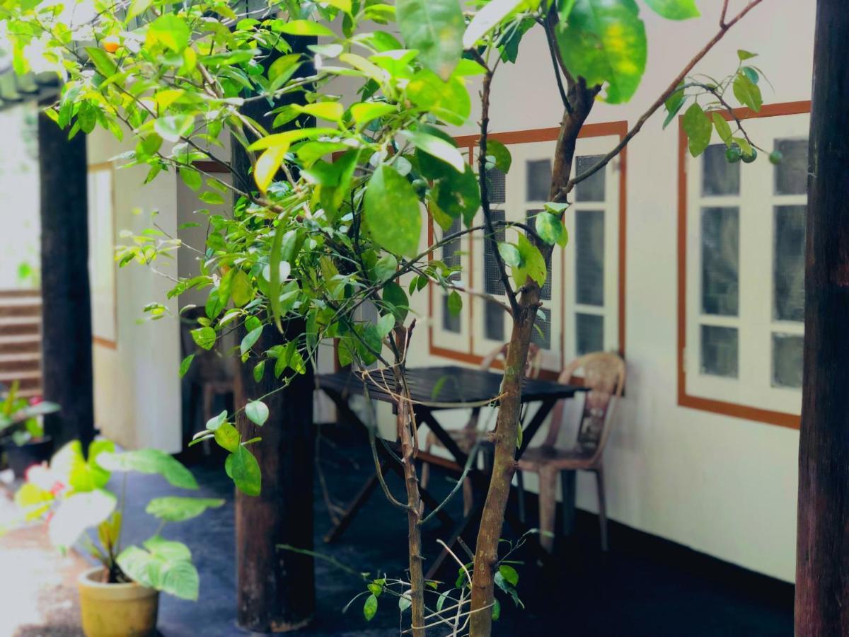 Drongo Place Dikwella Ngoại thất bức ảnh